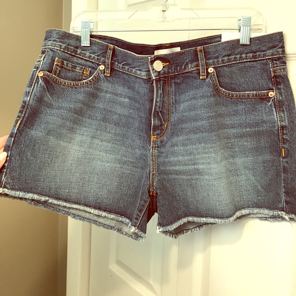 Ann Taylor LOFT Denim Jean Cut-Off Shorts 10 NEW