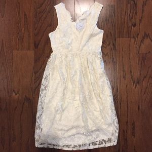 ASOS Maternity Lace Dress