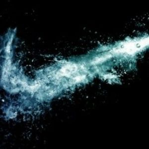 Meet your Posher, Jules