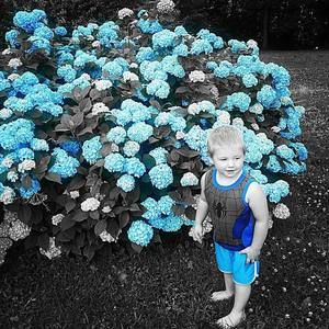 Meet your Posher, Heather