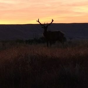 Meet your Posher, Doug