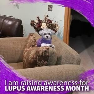 Meet your Posher, Dawn