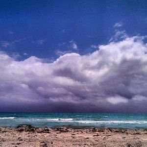 Meet your Posher, Curt