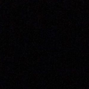 Meet your Posher, Savannah