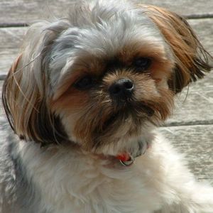 Meet your Posher, Judy