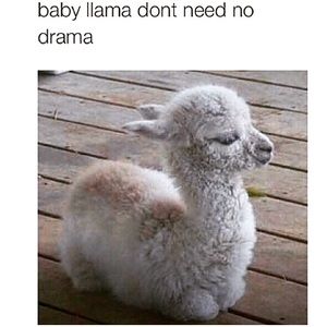 Meet your Posher, Militza