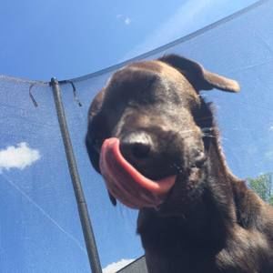 Meet your Posher, Stacy