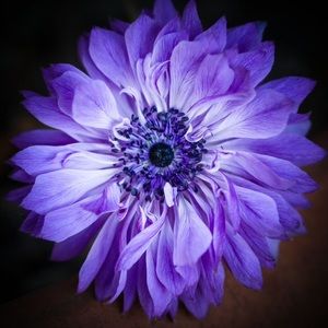 Meet your Posher, Lorena