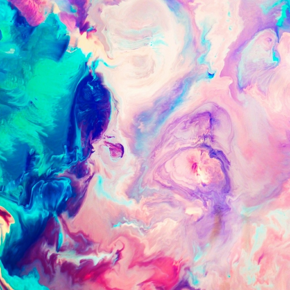 Meet your Posher, Sadie