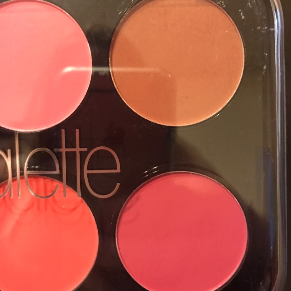 *HOST PICK* Matte Blush Palette - Picture 5 of 6
