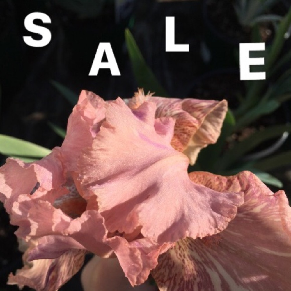 having a sale on all items! offers allowed✨✨