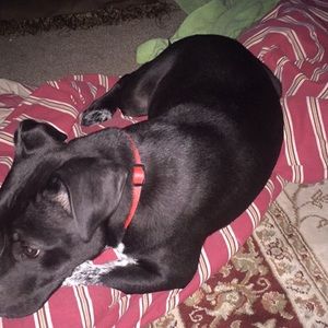 Meet your Posher, Kareem