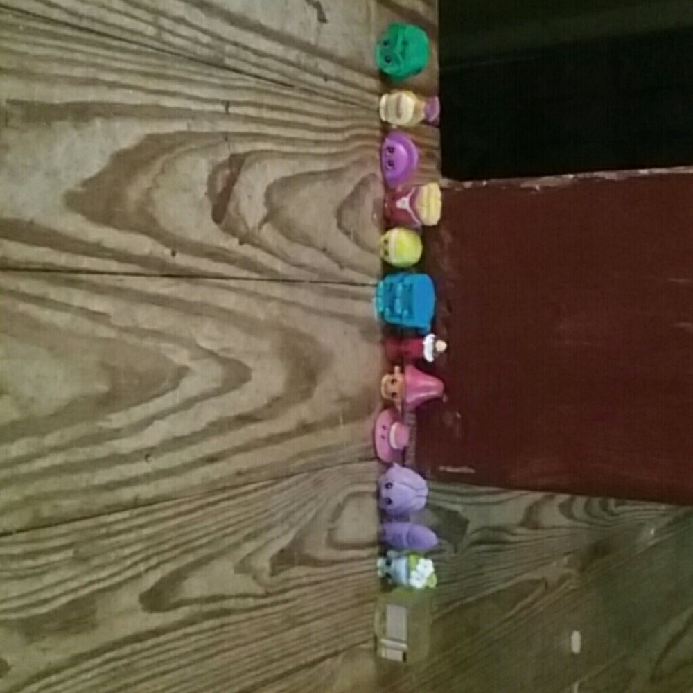 Random shopkins and accessories