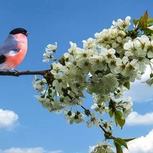 Meet your Posher, Linda