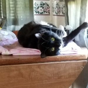 Meet your Posher, Kara