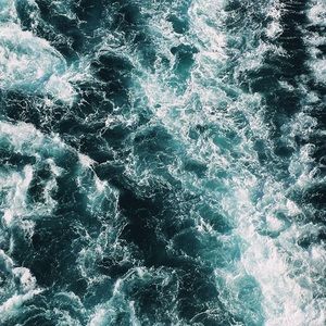 Meet your Posher, Eva