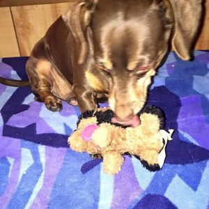 Meet your Posher, Martha