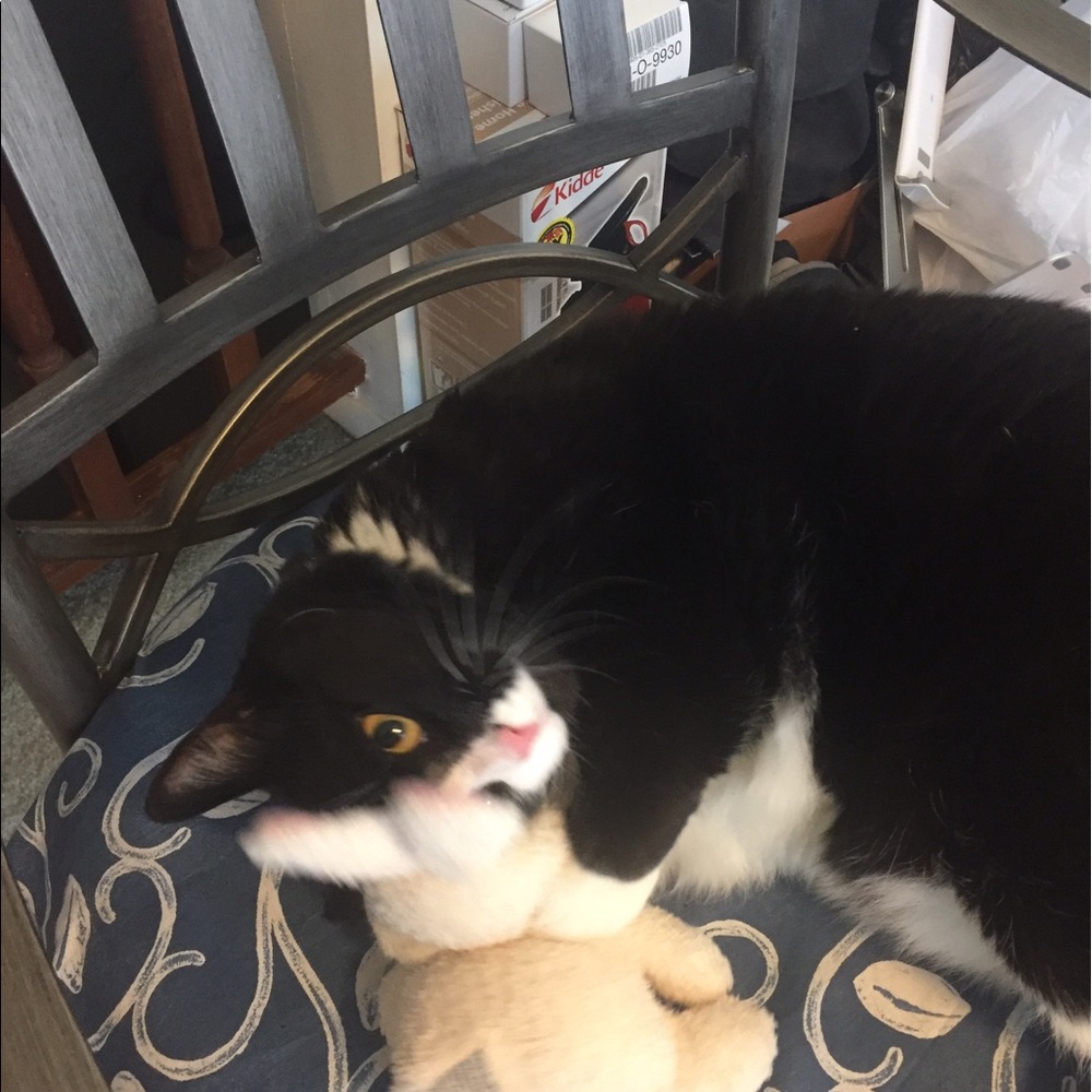 Meet your Posher, Denise