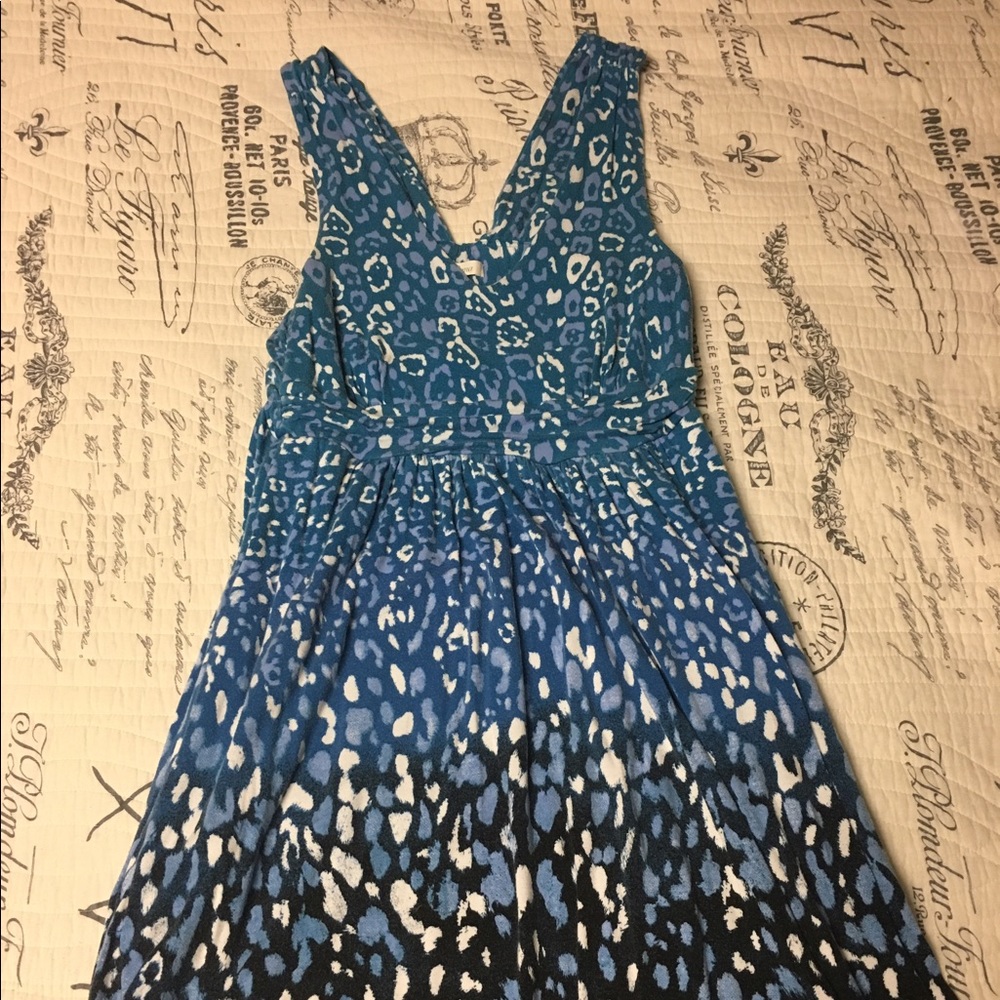 Blue and white leopard dress