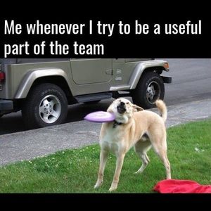 Meet your Posher, Robert