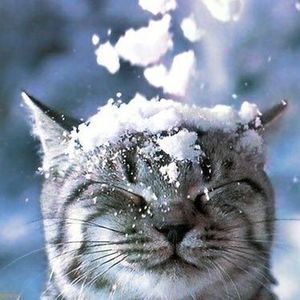 Meet your Posher, Annmarie