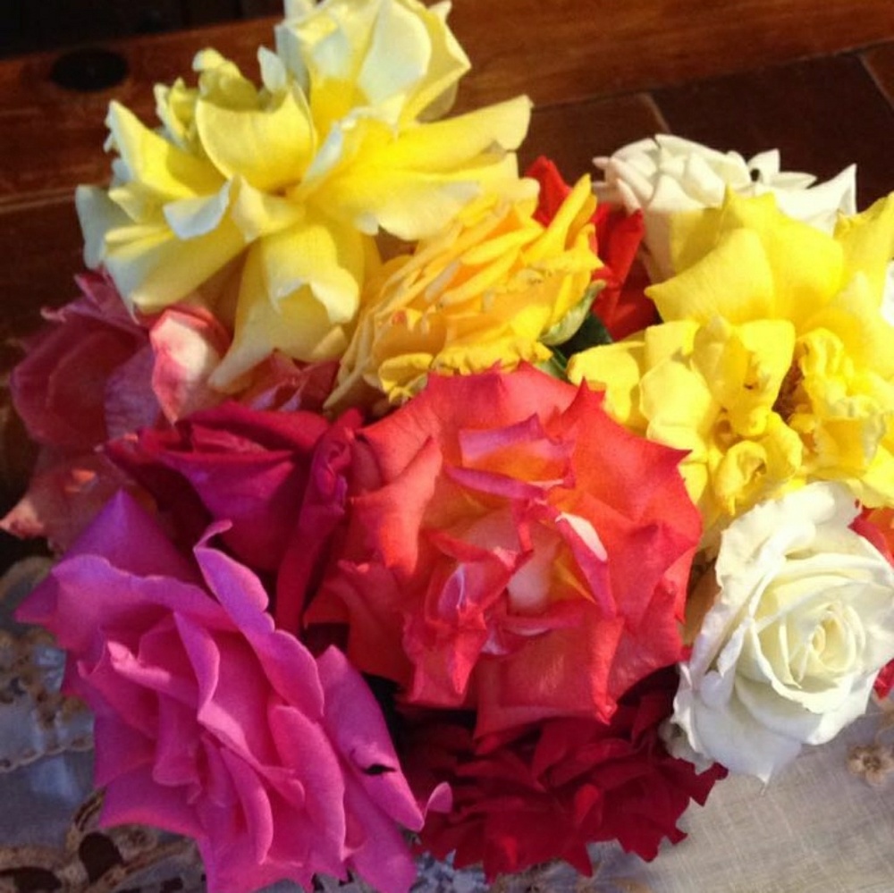 Meet your Posher, Oneyda