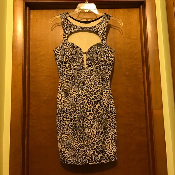 Mini cheetah - Picture 1 of 3