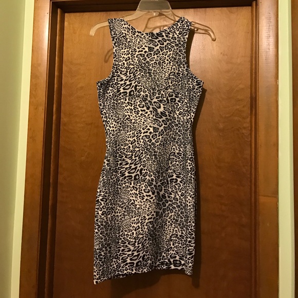 Mini cheetah - Picture 2 of 3