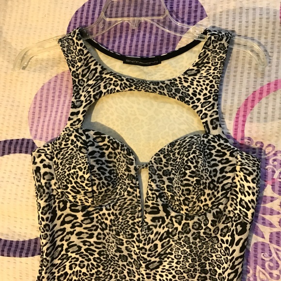 Mini cheetah - Picture 3 of 3