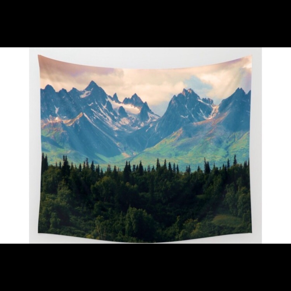 Society6 68"✖️80" wall tapestry