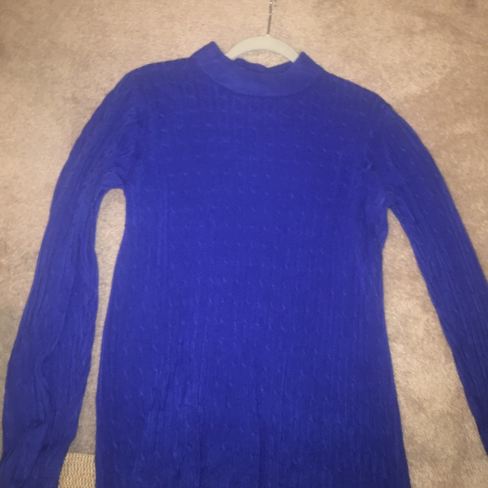 NWT Karen Scott Blue Sweater