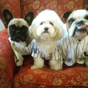 Meet your Posher, Evelyn