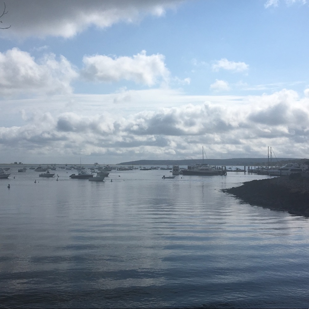 Meet your Posher, Christa