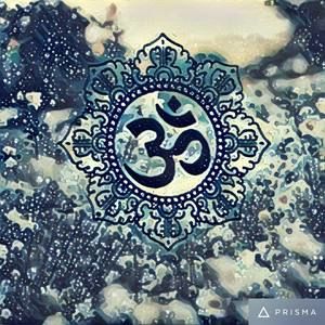 Meet your Posher, Owen