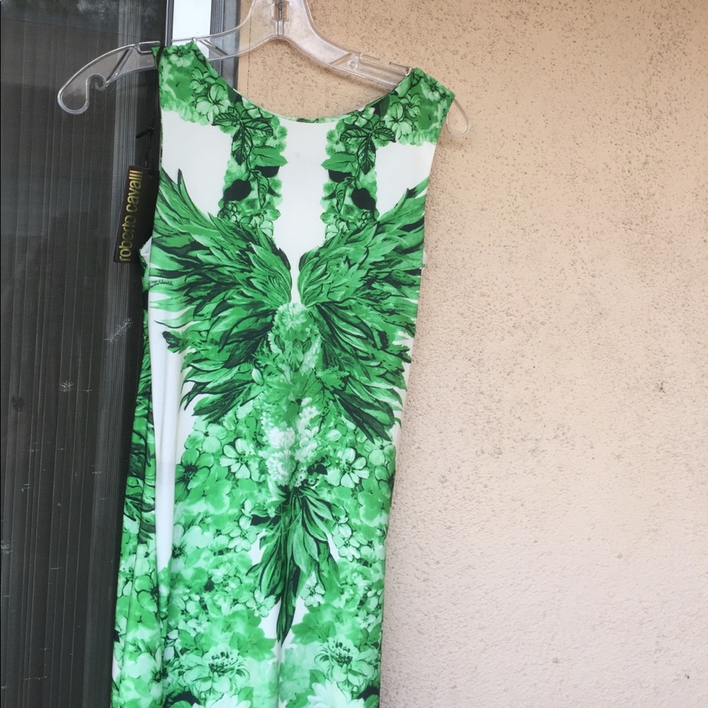 Roberto Cavalli size 2 stunner white/green dress