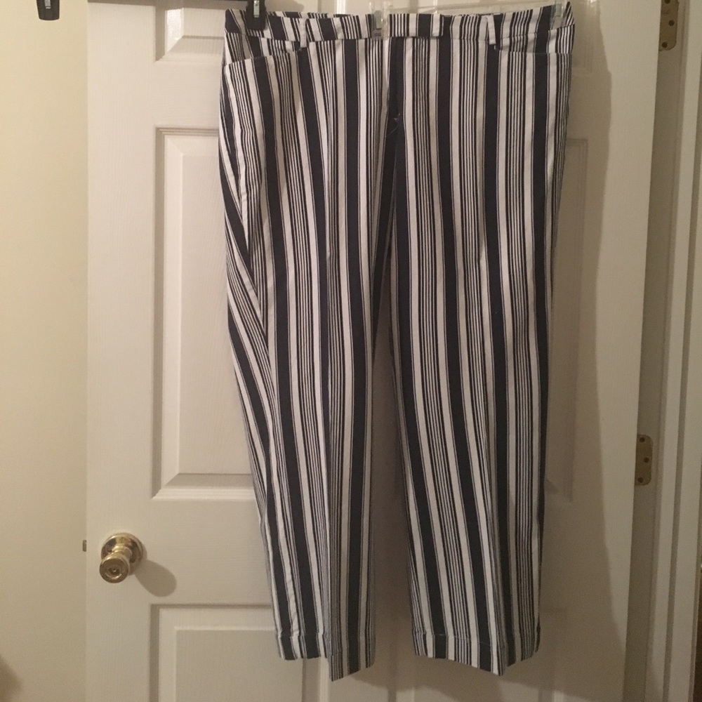 Casual Friday pants.