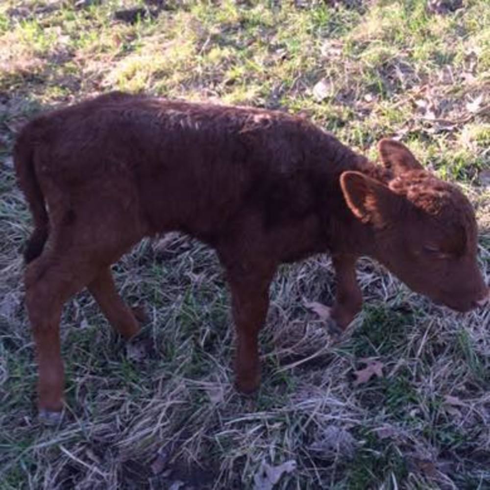 Meet your Posher, Maycie