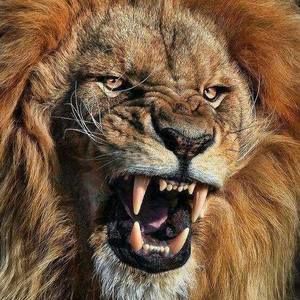 Meet your Posher, Darrell