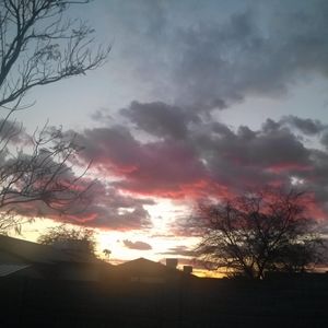 Meet your Posher, Cathy