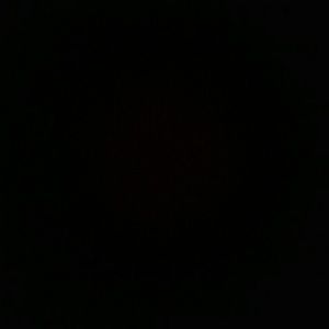 Meet your Posher, Benny