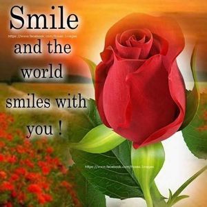 Meet your Posher, Aliya