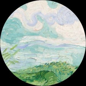 Meet your Posher, Kylee