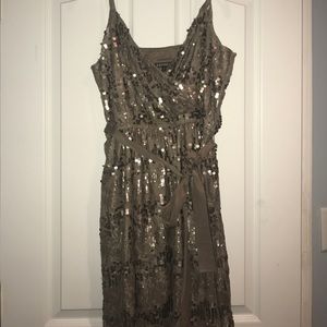 Express size Large sequined lace dress