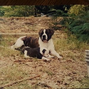 Meet your Posher, Donna