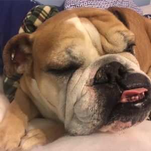 Meet your Posher, Madison