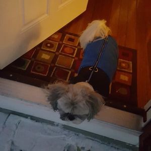 Meet your Posher, Tee