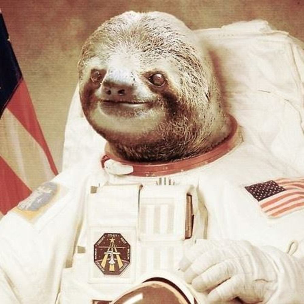 Meet your Posher, Israel