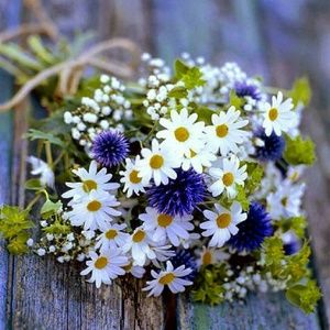 Meet your Posher, Ana