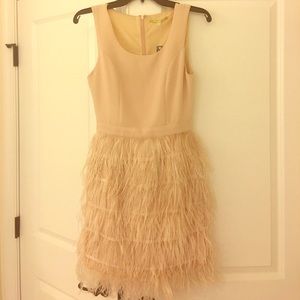 BLUSH party dress - NWT