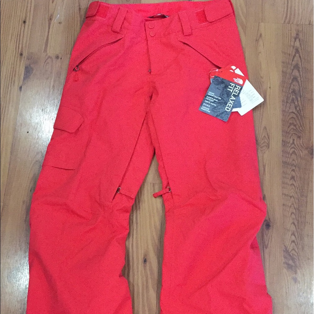 The NorthFace Alpine snow pants